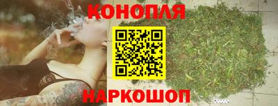дмт Пенза