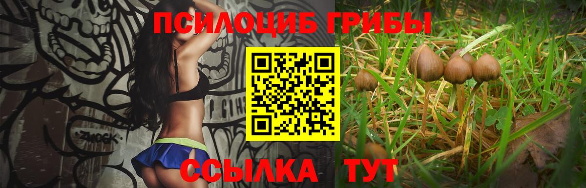 Псилоцибиновые грибы Psilocybine cubensis  Вход с VPN  Сосновоборск 
