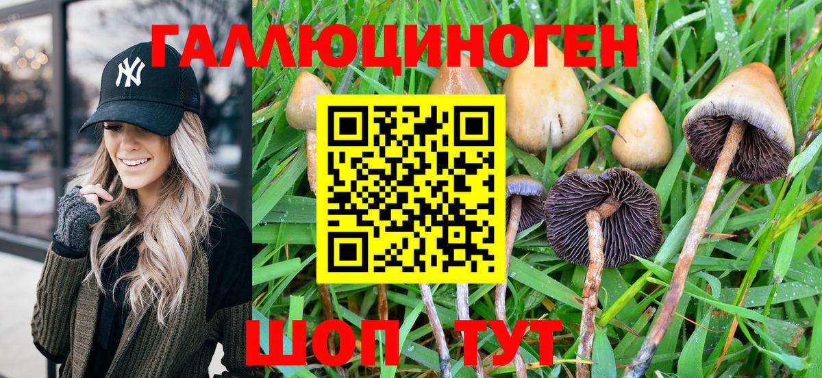 Псилоцибиновые грибы GOLDEN TEACHER Сосновоборск